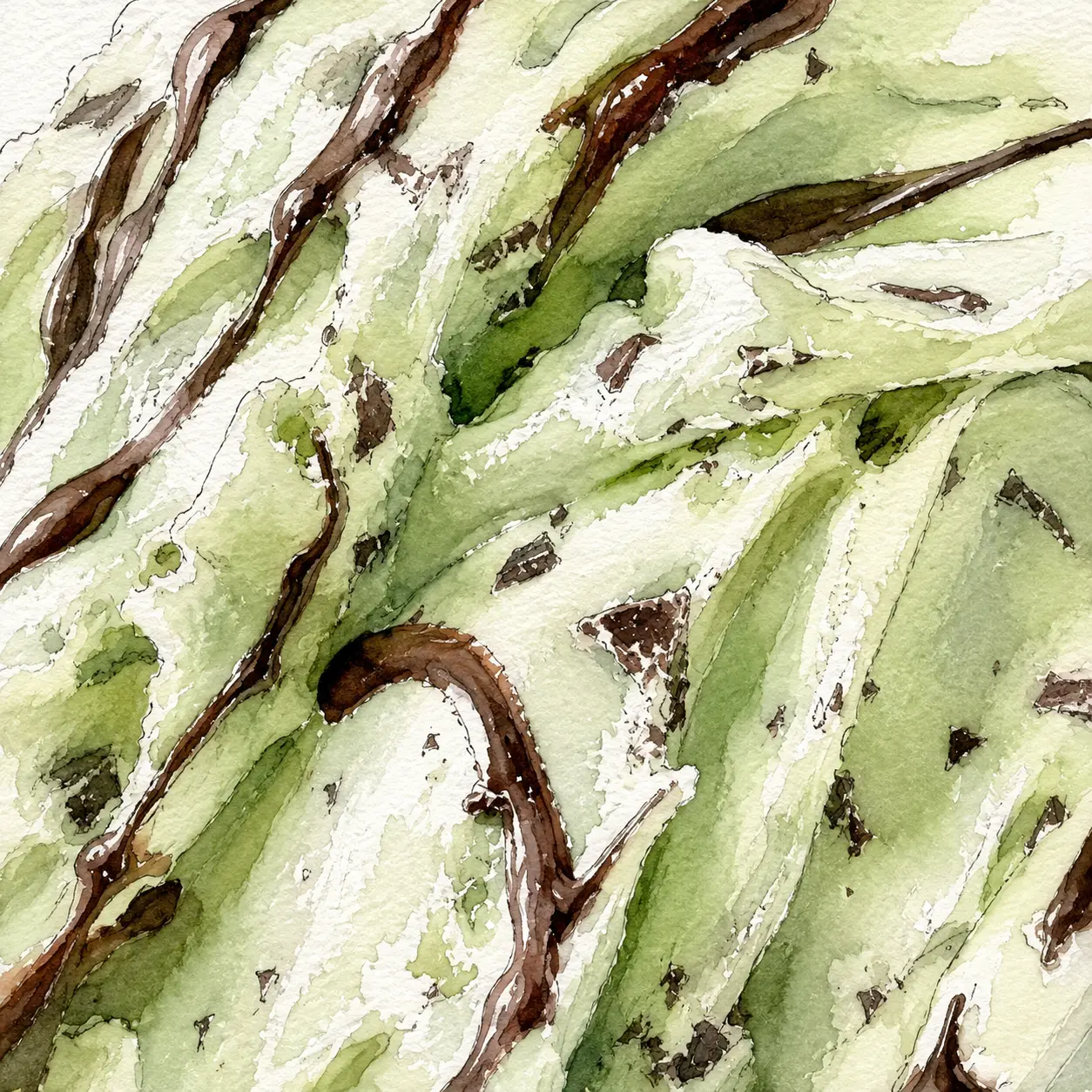 Mint Chocolate gelato